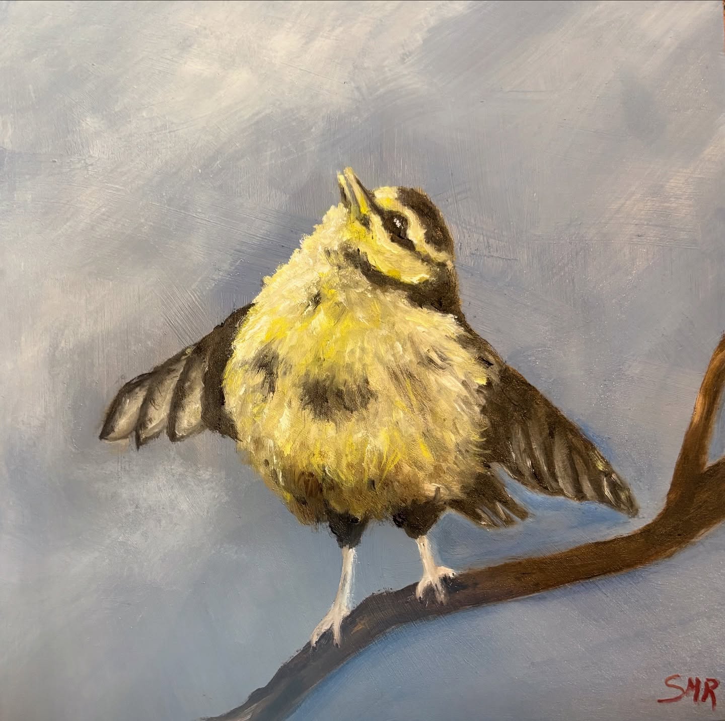 “Song Bird” #oilonpanel#oilpainting#painting#birds#songbirds#nature#artoninstagram#createeverday #artoftheday #art#artist#loveart#liveart#sanantonioartists#creative#fineart#funart#arteveryday