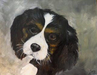 Commissioned Painting - So thankful I was chosen to paint this handsome guy. #art#artist #artoninstagram #painting#paintings #artoninstagram#arteveryday#artoftheday#createdaily#loveart#liveart#oiloncanvas#oilpainting#creative#pets#dogs#commissions