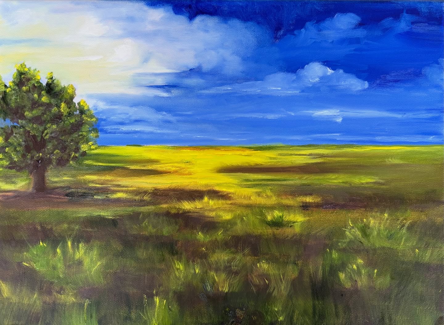 First Painting in Texas Road Scenes Series. “Golden Fields After the Storm” #oiloncanvas#fineart#artist#painting#artoninstagram
