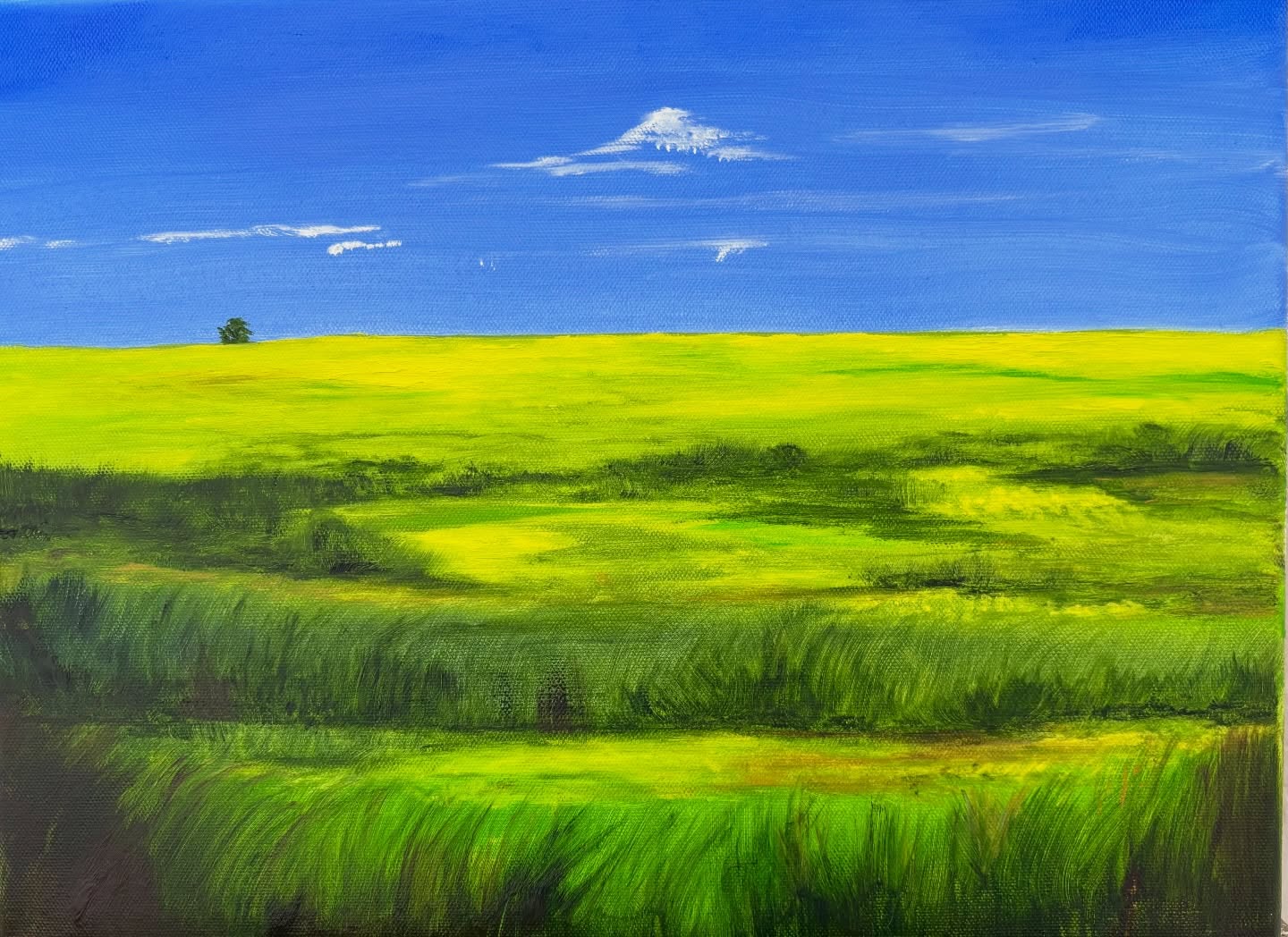 Another Texas road scene of the meadow. #art#artis#artoninstagram #fineart#oiloncanvaspainting