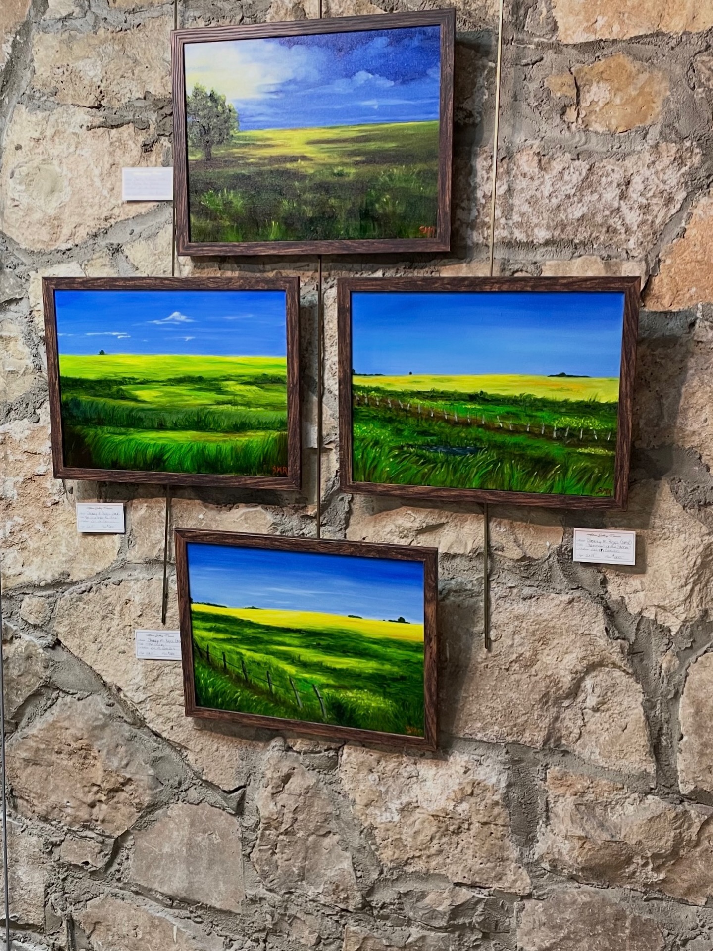 Please to announce my artwork is on display at the Helotes Art Gallery in Helotes, Texas! Come check it out and all the other wonderful works of art. Feeling very blessed. #art#fineart#oiloncanvaspaintings #artist#artoninstagram