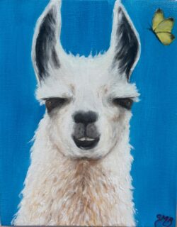 “Llama and Butterfly” #oiloncanvas#artwork#fineart#artoninstagram#paintings