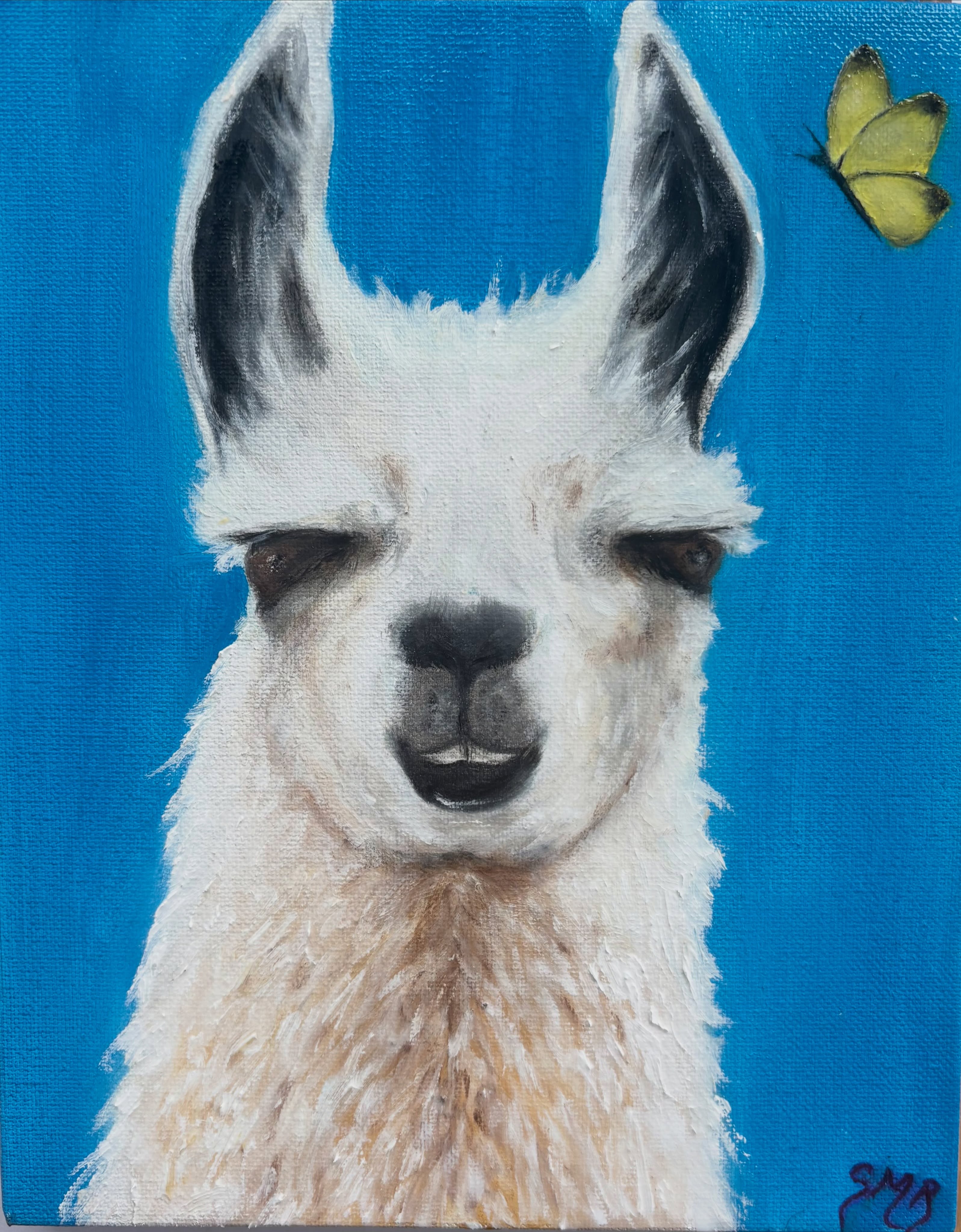 “Llama and Butterfly” #oiloncanvas#artwork#fineart#artoninstagram#paintings
